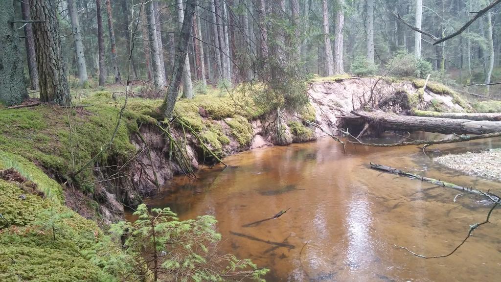 Гостевой дом Poilsio Baze Латезерис Экстерьер фото
